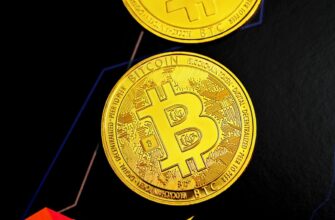 best bitcoin wallet for dark web