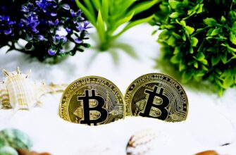 best crypto exchange in india blog crypto z