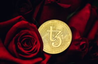 bitcoin halving countdown ist