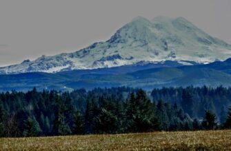 crypto tax washington state