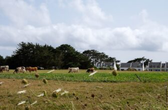 farm eth on aave step by step