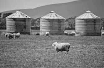 farm ethereum on yearn finance guide