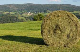 farm ton on binance earn low risk