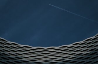 free avax airdrop on polygon