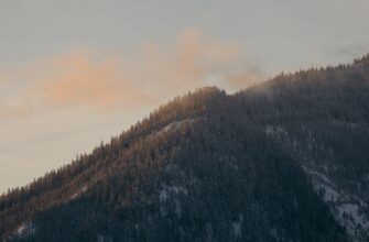free bitcoin airdrop in canada
