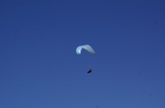free sol airdrop on arbitrum