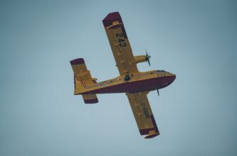 free ton airdrop in uk