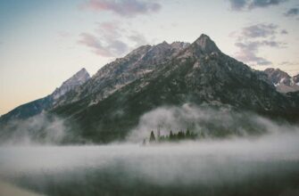 futures trading xrp on binance step by step weekly timeframe