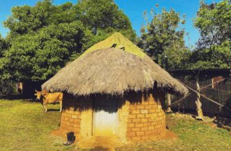 how to buy crypto in zimbabwe