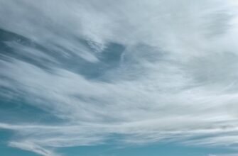how to collect sol airdrop for beginners