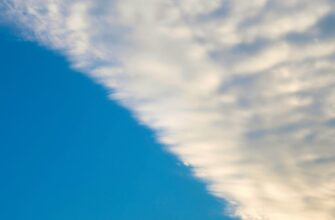 how to get btc airdrop for beginners