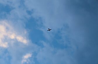 how to get opbnb airdrop massive