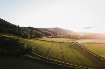 how to report defi yield in uk