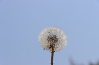 is it safe to secure seed phrase air gapped