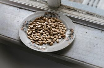 is it safe to store seed phrase without kyc