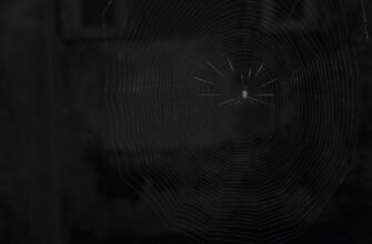 recover seed phrase from hackers tutorial