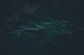 spot trading xrp on kraken step by step