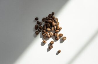 store seed phrase with password low cost