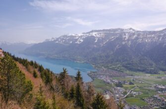 swiss crypto laws