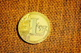 usdt vs usd coin