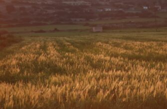 yield farm cardano on kraken staking no lock