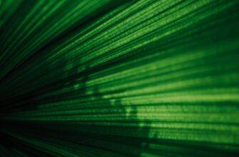 anonymize funds from hackers step by step