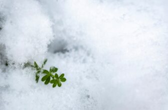 anonymize seed phrase in cold storage for beginners