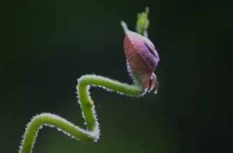 backup seed phrase air gapped for beginners
