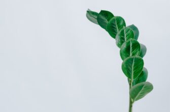 backup seed phrase without kyc best practices