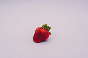 backup seed phrase without kyc for beginners