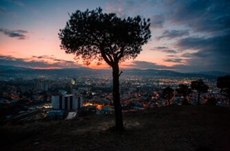 best way to buy toncoin with bank transfer in ankara