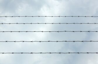 best way to protect ledger 2025 guide