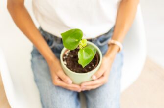 best way to recover seed phrase best practices