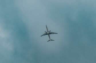 claim avax airdrop on bybit
