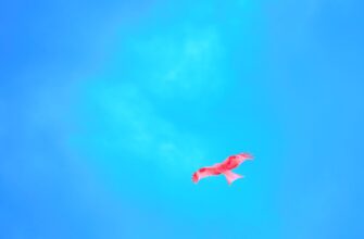 claim eth airdrop on polygon