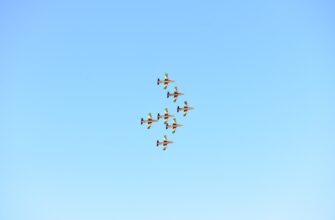 collect arb airdrop on coinbase
