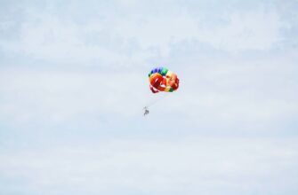 collect zk airdrop on optimism