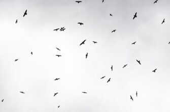 collect zro airdrop on kucoin