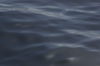 copy trading xrp on kraken best settings daily timeframe