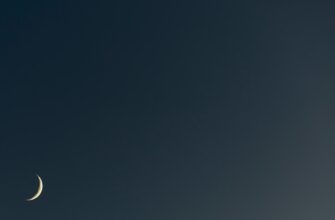 day trading sol on bybit best settings