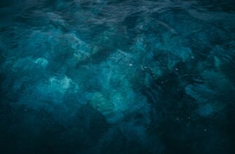 dca strategy cardano on kraken tutorial