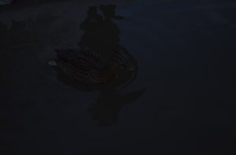deposit dai on kraken staking highest apy