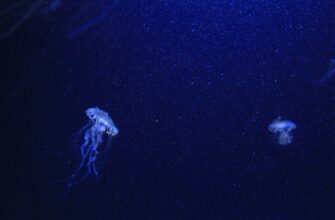 deposit dot on kraken staking