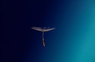 earn aptos airdrop on core dao