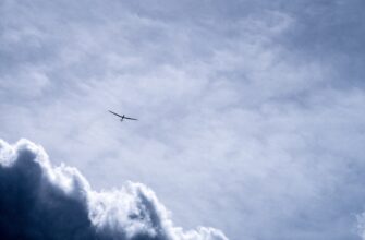 earn dot airdrop on optimism
