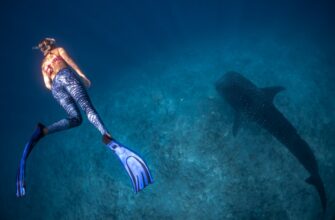 earn interest ada on kraken staking flexible