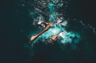 earn interest ada on rocket pool tutorial