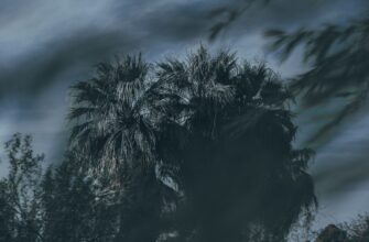 earn interest usdc on kraken staking highest apy