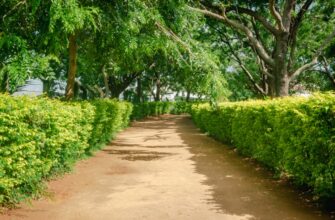 earn interest usdt on compound guide