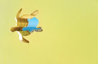 earn pepe airdrop on layerzero